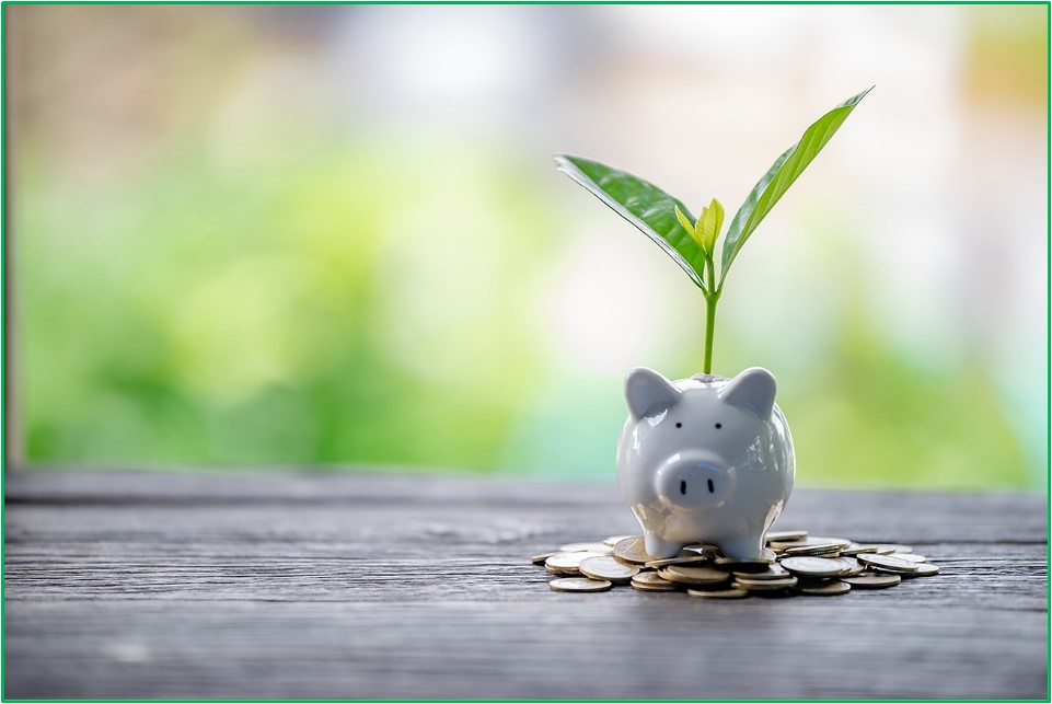 ANEC webinar on sustainable finance