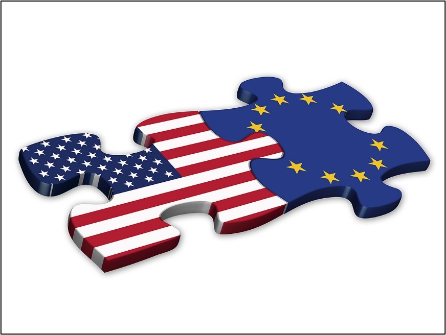 EU US TTC WG1 Stakeholder Workshop