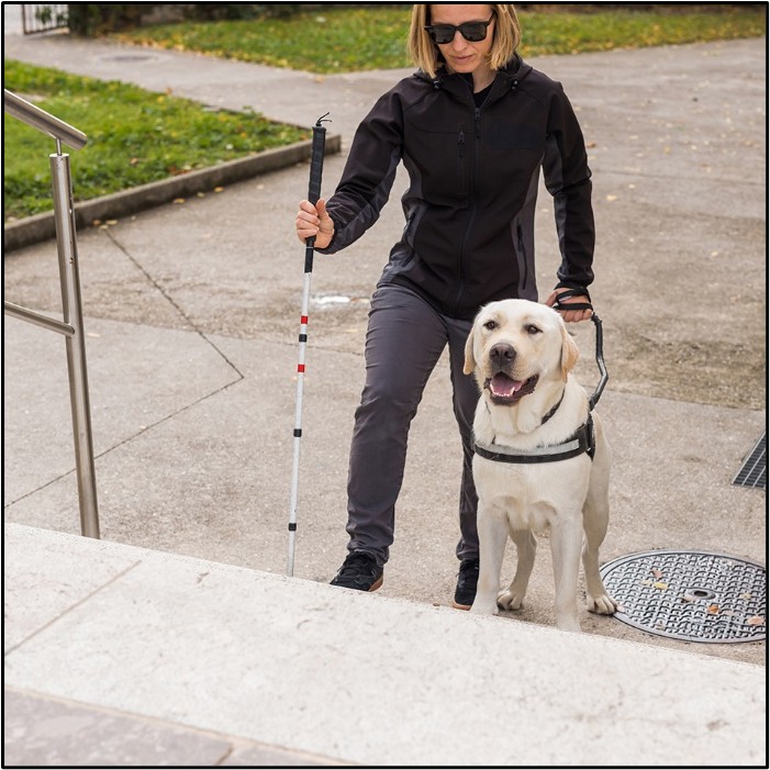 dog professionals